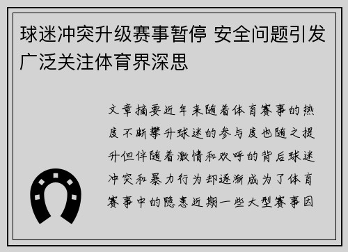 球迷冲突升级赛事暂停 安全问题引发广泛关注体育界深思 球迷冲突升级赛事暂停 安全问题引发广泛关注体育界深思