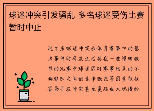 球迷冲突引发骚乱 多名球迷受伤比赛暂时中止 球迷冲突引发骚乱 多名球迷受伤比赛暂时中止